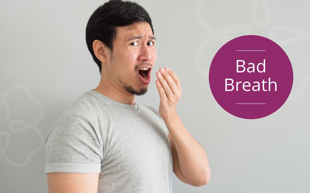 Common causes of Bad breath and how to manage them